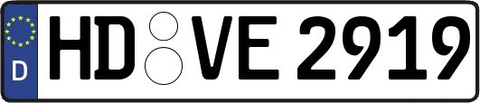 HD-VE2919