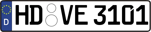 HD-VE3101