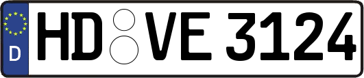 HD-VE3124