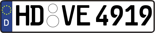 HD-VE4919