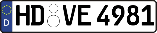 HD-VE4981