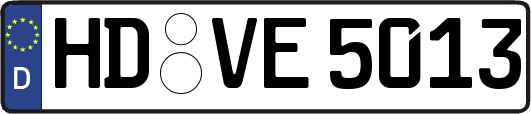 HD-VE5013