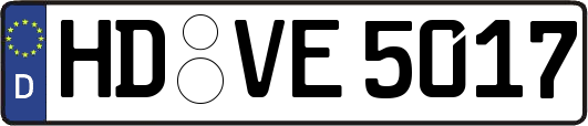 HD-VE5017