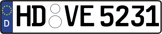 HD-VE5231