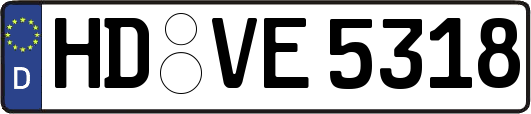 HD-VE5318