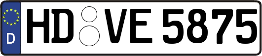 HD-VE5875