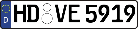 HD-VE5919