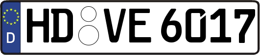 HD-VE6017