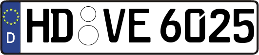 HD-VE6025