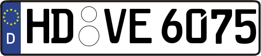 HD-VE6075