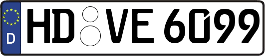 HD-VE6099