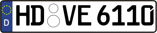 HD-VE6110