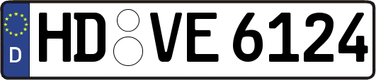 HD-VE6124