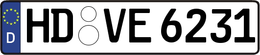 HD-VE6231