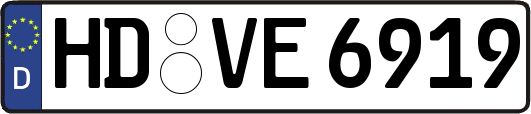 HD-VE6919