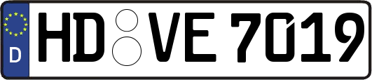 HD-VE7019