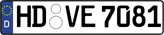 HD-VE7081