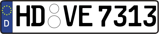 HD-VE7313