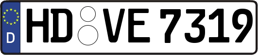 HD-VE7319