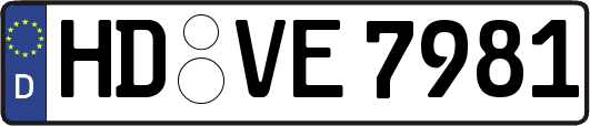 HD-VE7981