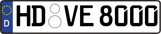 HD-VE8000
