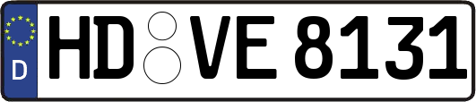HD-VE8131