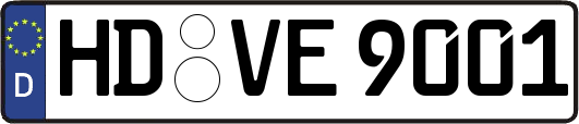 HD-VE9001