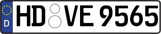 HD-VE9565