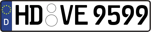 HD-VE9599