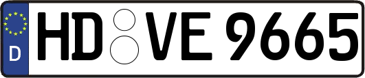 HD-VE9665