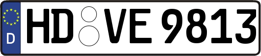 HD-VE9813