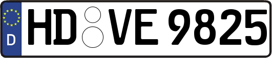 HD-VE9825