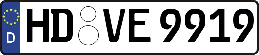 HD-VE9919