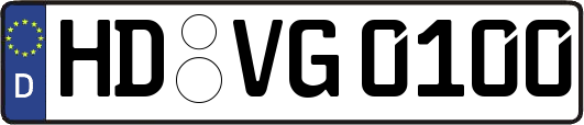 HD-VG0100