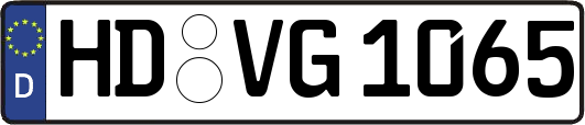 HD-VG1065