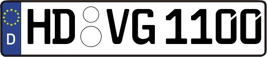 HD-VG1100