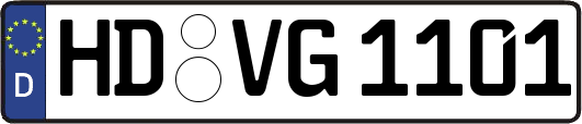 HD-VG1101