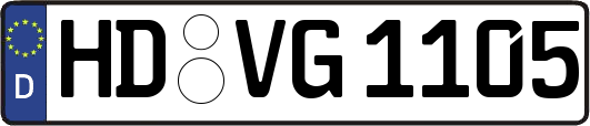 HD-VG1105