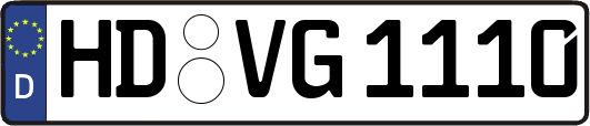 HD-VG1110