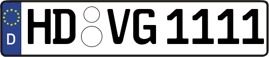 HD-VG1111