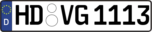 HD-VG1113