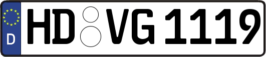 HD-VG1119