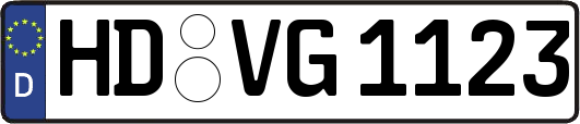 HD-VG1123