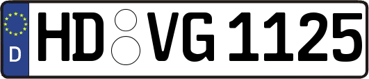 HD-VG1125