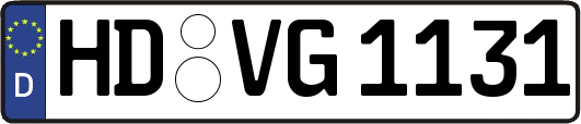 HD-VG1131