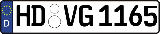 HD-VG1165