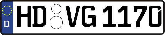HD-VG1170