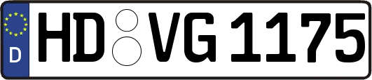 HD-VG1175