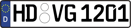 HD-VG1201