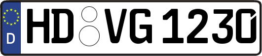 HD-VG1230